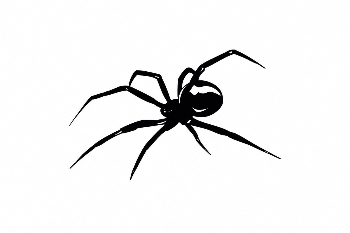 Araña Clásica