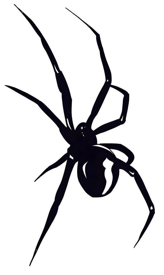 Araña Clásica