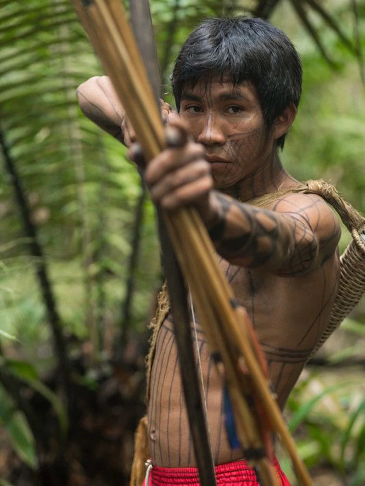 Logotipo de la marca