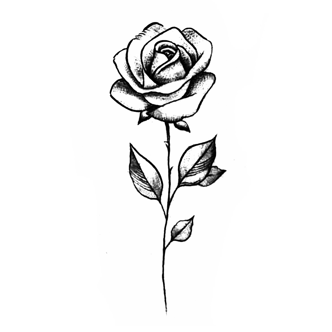Rosa